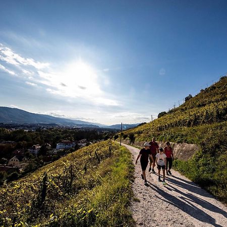 Kavenija Apartmaji - Free Parking Maribor Exteriör bild