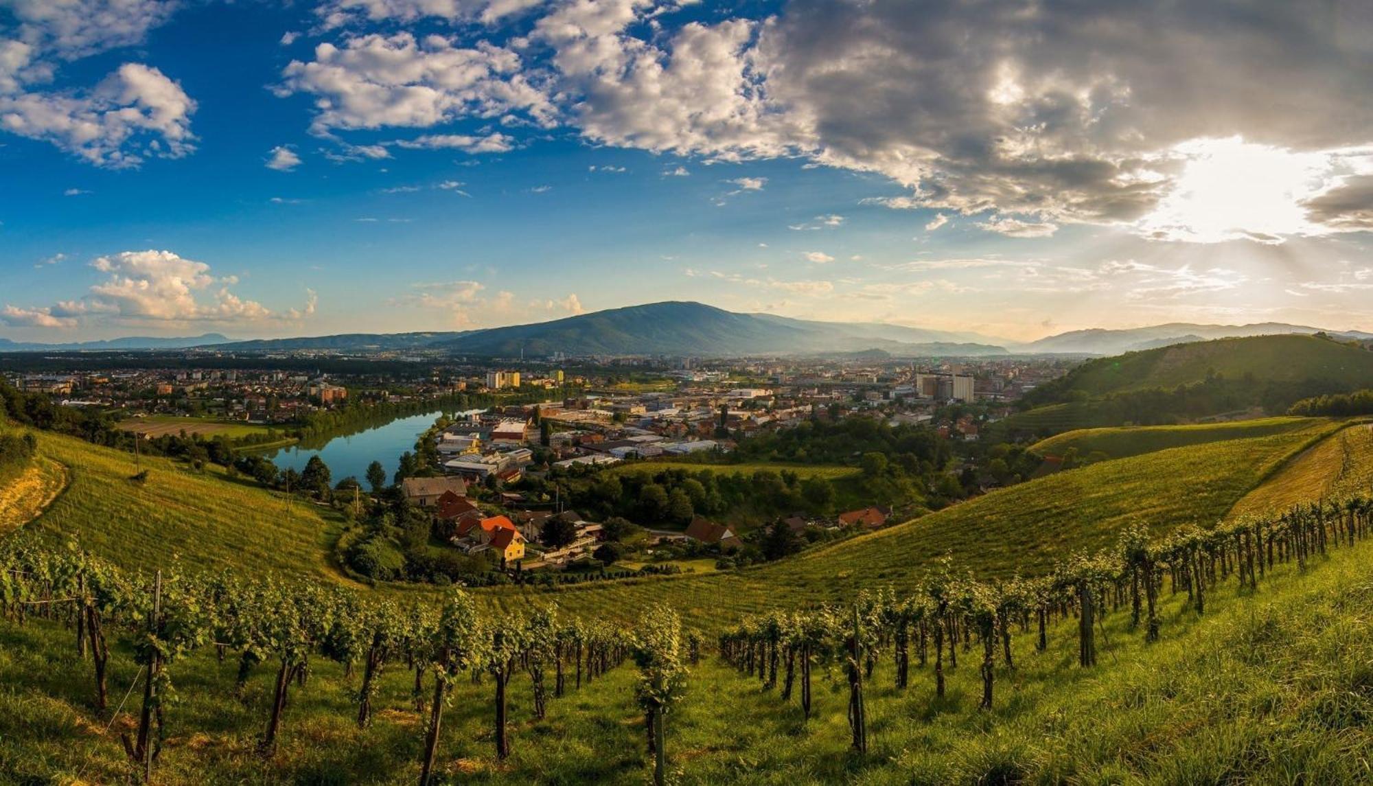 Kavenija Apartmaji - Free Parking Maribor Exteriör bild