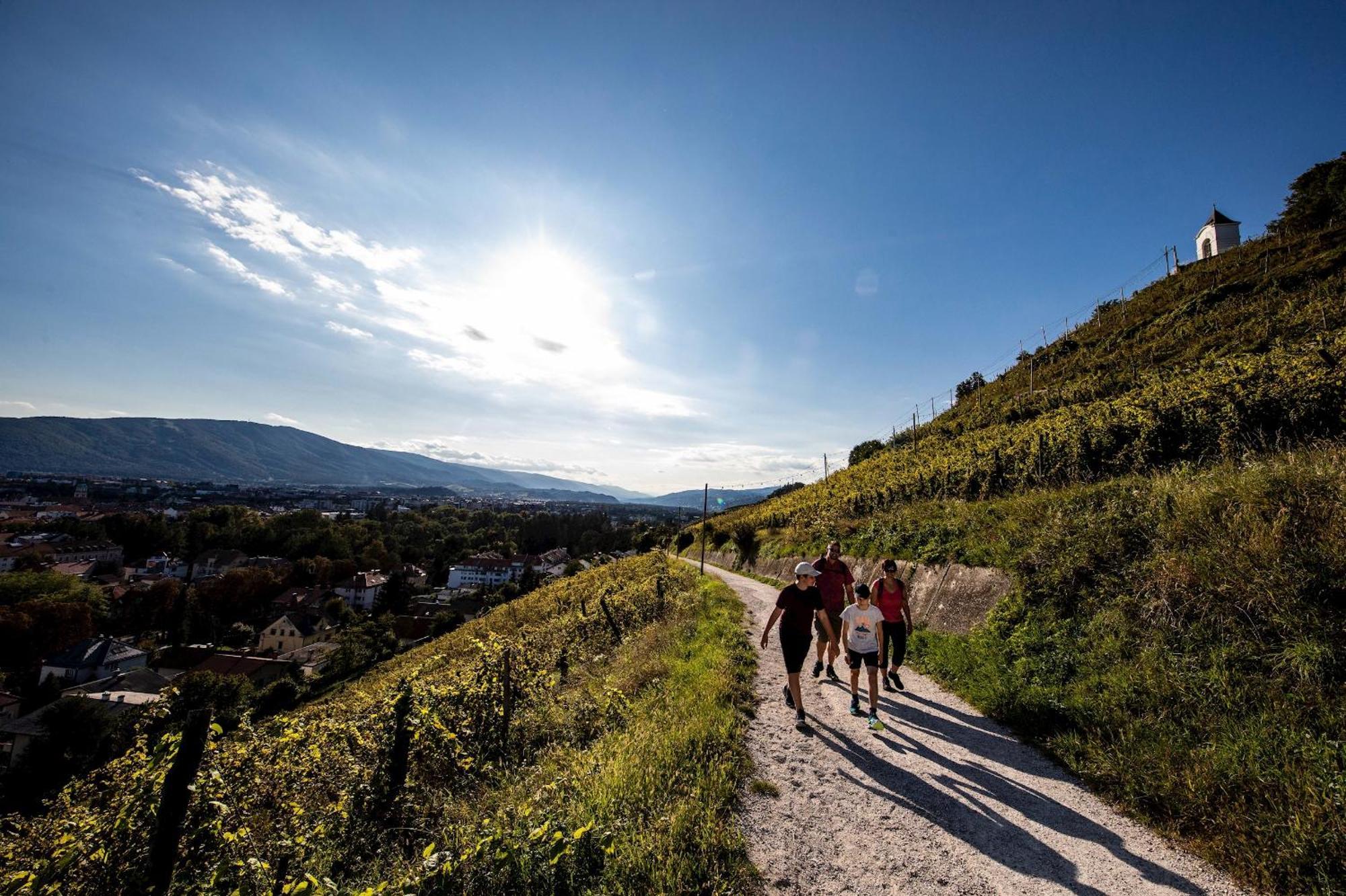 Kavenija Apartmaji - Free Parking Maribor Exteriör bild